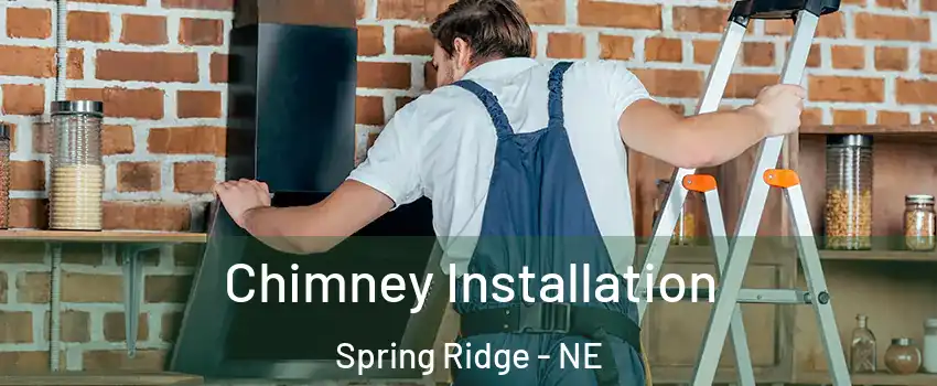 Chimney Installation Spring Ridge - NE