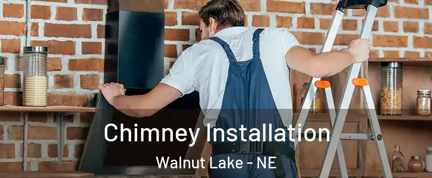 Chimney Installation Walnut Lake - NE