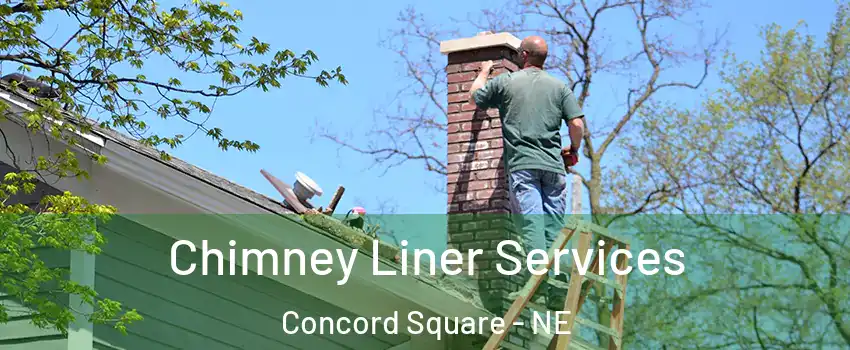 Chimney Liner Services Concord Square - NE