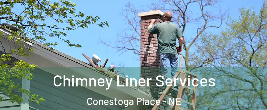 Chimney Liner Services Conestoga Place - NE