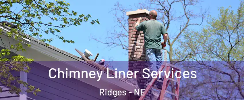Chimney Liner Services Ridges - NE