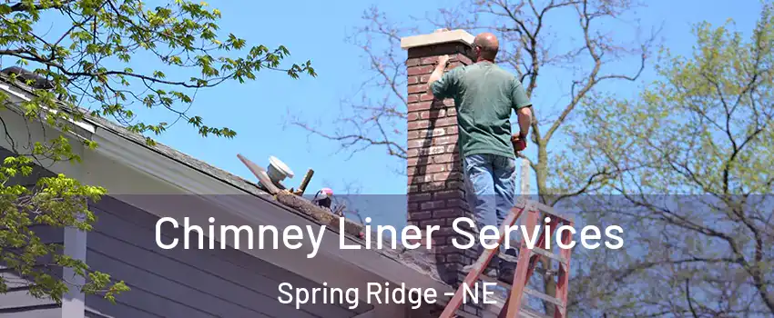 Chimney Liner Services Spring Ridge - NE