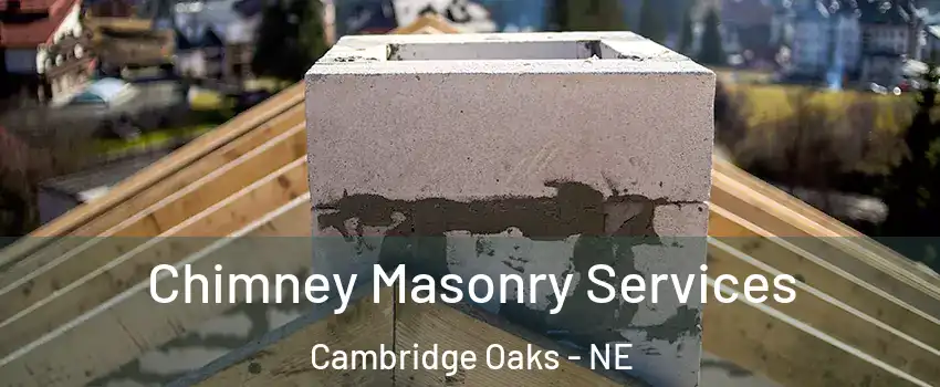 Chimney Masonry Services Cambridge Oaks - NE
