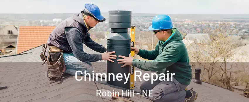 Chimney Repair Robin Hill - NE