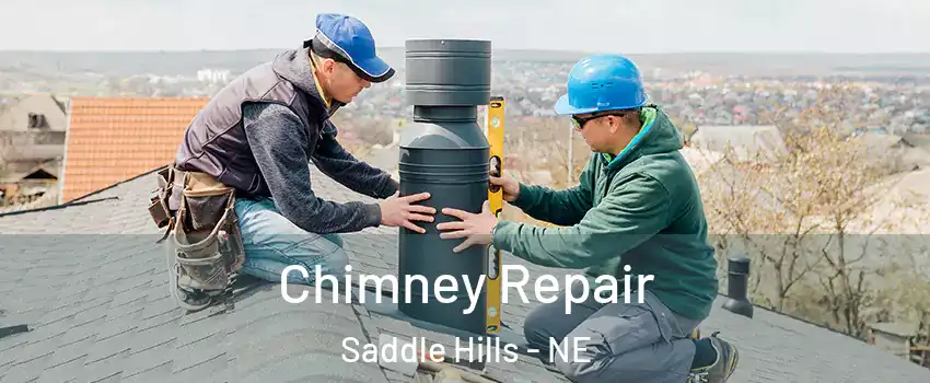 Chimney Repair Saddle Hills - NE