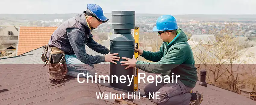 Chimney Repair Walnut Hill - NE