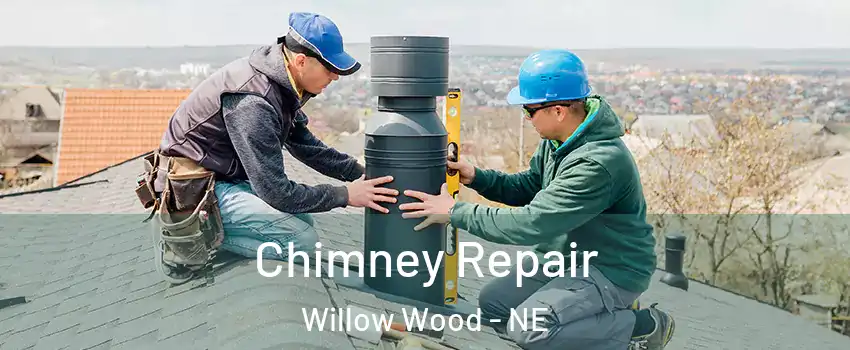 Chimney Repair Willow Wood - NE