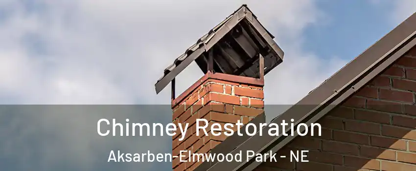 Chimney Restoration Aksarben-Elmwood Park - NE