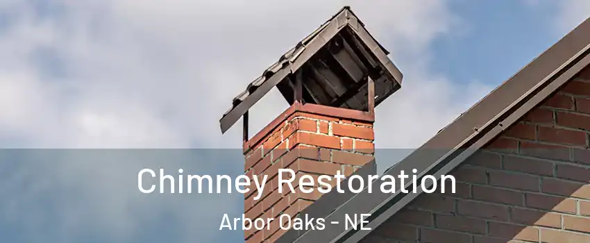 Chimney Restoration Arbor Oaks - NE