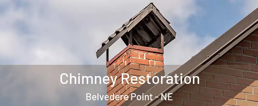 Chimney Restoration Belvedere Point - NE