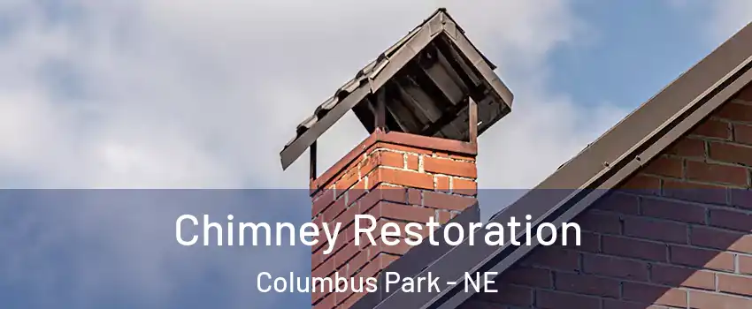 Chimney Restoration Columbus Park - NE