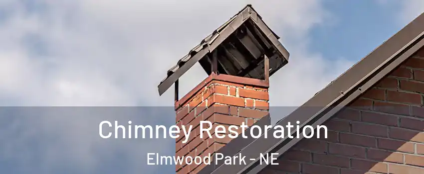 Chimney Restoration Elmwood Park - NE