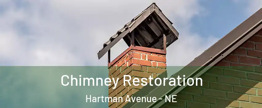Chimney Restoration Hartman Avenue - NE