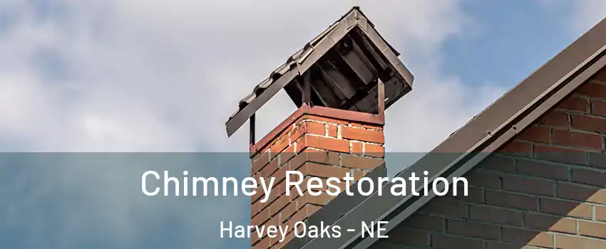 Chimney Restoration Harvey Oaks - NE
