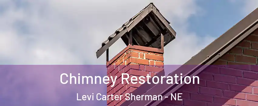 Chimney Restoration Levi Carter Sherman - NE