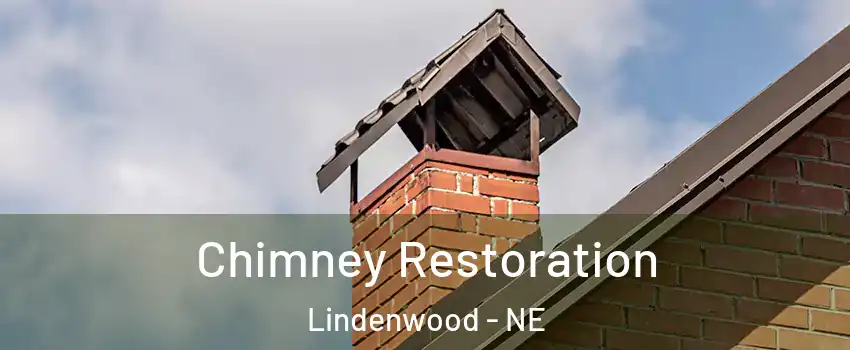 Chimney Restoration Lindenwood - NE