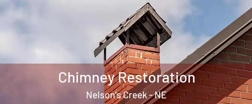 Chimney Restoration Nelson's Creek - NE