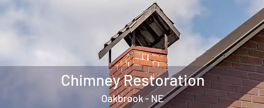 Chimney Restoration Oakbrook - NE