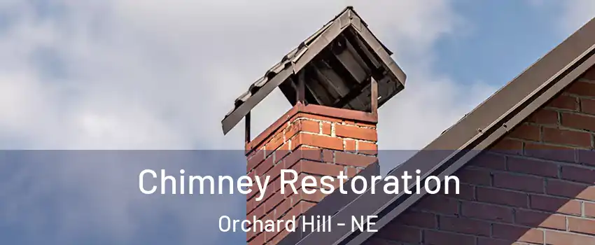 Chimney Restoration Orchard Hill - NE