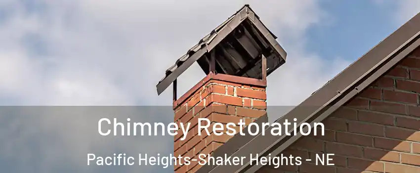 Chimney Restoration Pacific Heights-Shaker Heights - NE