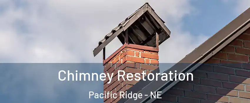 Chimney Restoration Pacific Ridge - NE
