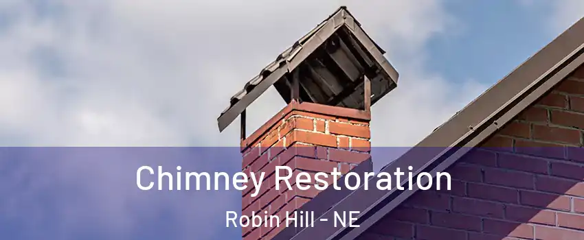 Chimney Restoration Robin Hill - NE