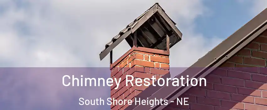Chimney Restoration South Shore Heights - NE