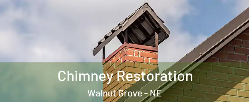 Chimney Restoration Walnut Grove - NE