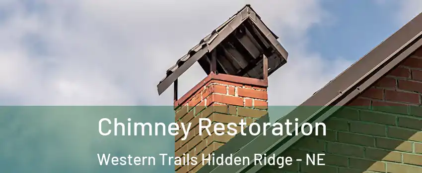 Chimney Restoration Western Trails Hidden Ridge - NE