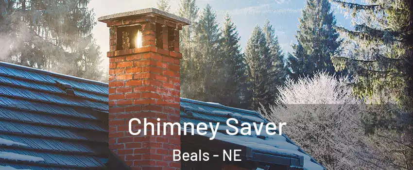 Chimney Saver Beals - NE