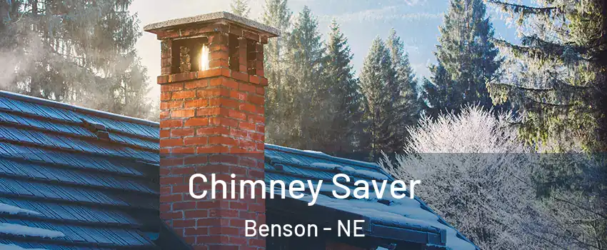 Chimney Saver Benson - NE