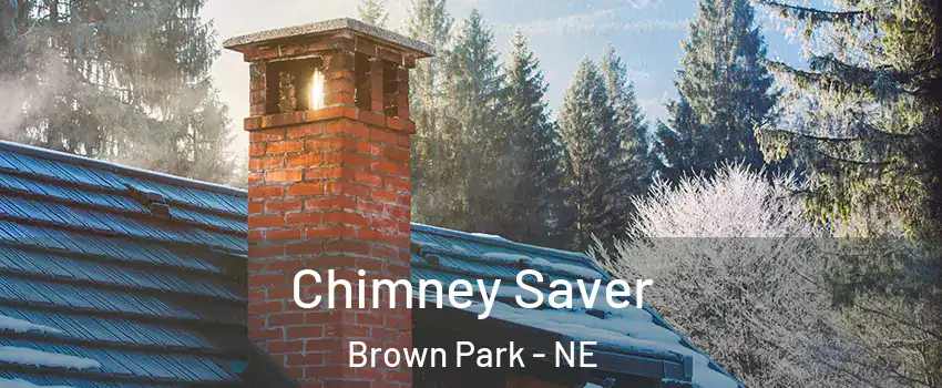 Chimney Saver Brown Park - NE