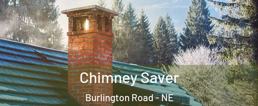 Chimney Saver Burlington Road - NE