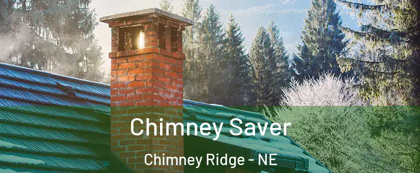 Chimney Saver Chimney Ridge - NE