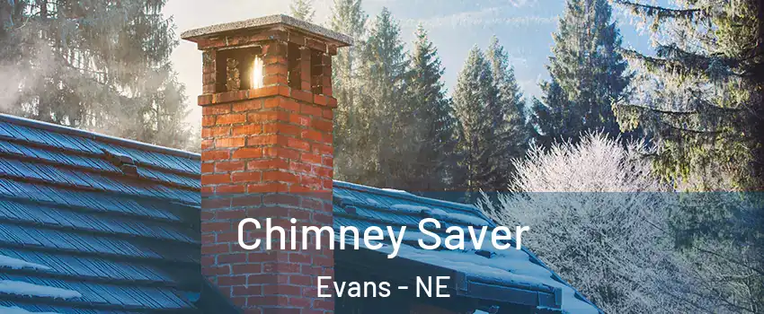 Chimney Saver Evans - NE