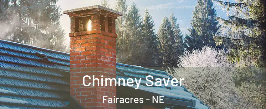 Chimney Saver Fairacres - NE