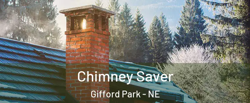 Chimney Saver Gifford Park - NE