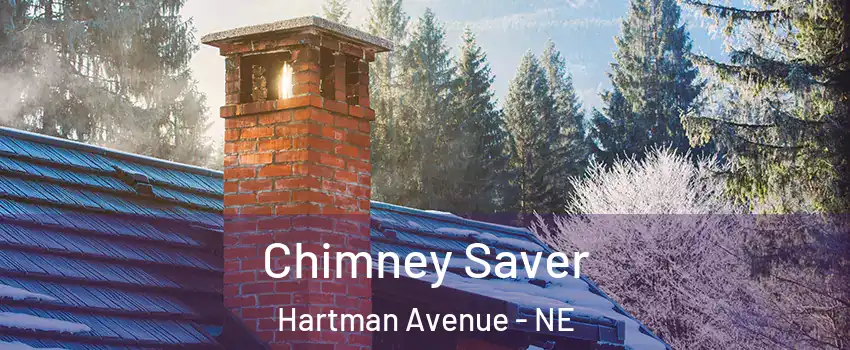 Chimney Saver Hartman Avenue - NE