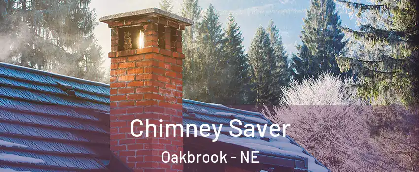 Chimney Saver Oakbrook - NE