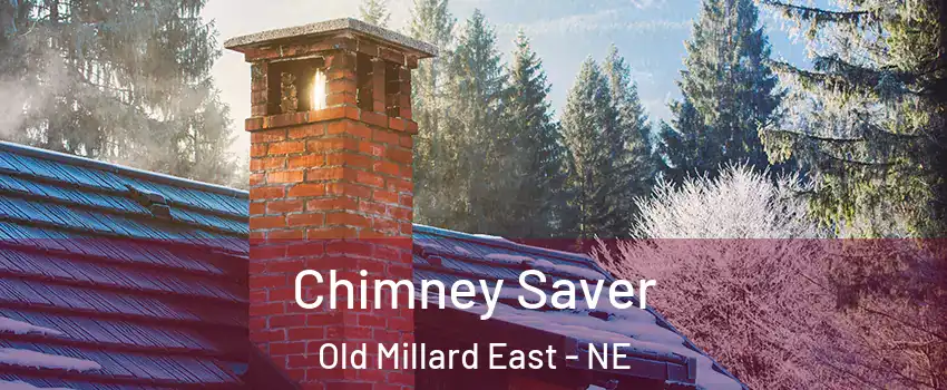 Chimney Saver Old Millard East - NE