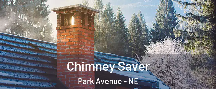 Chimney Saver Park Avenue - NE