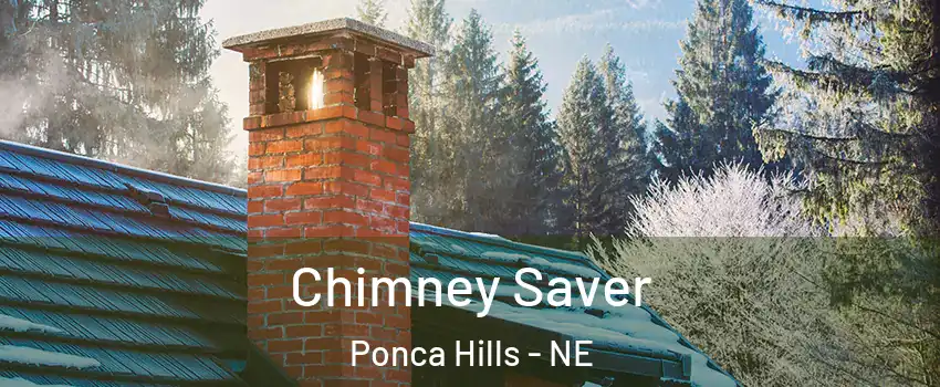 Chimney Saver Ponca Hills - NE