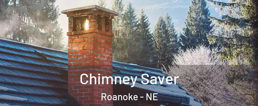 Chimney Saver Roanoke - NE