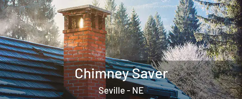 Chimney Saver Seville - NE