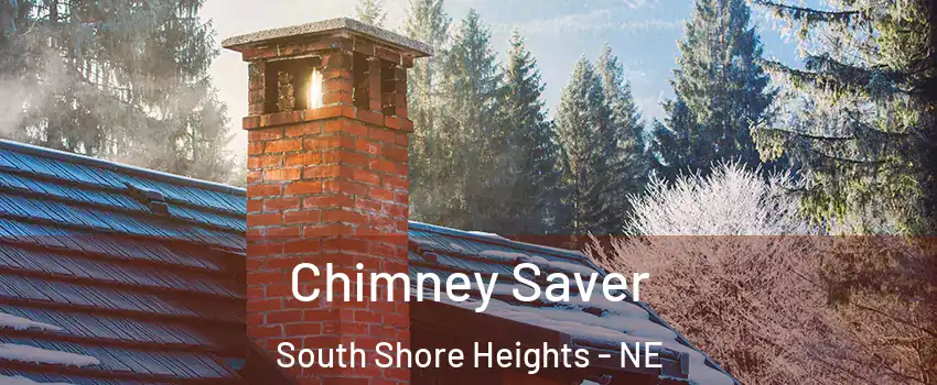 Chimney Saver South Shore Heights - NE