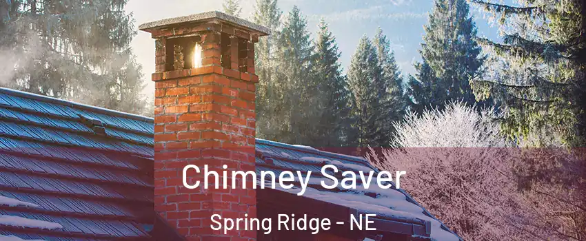 Chimney Saver Spring Ridge - NE