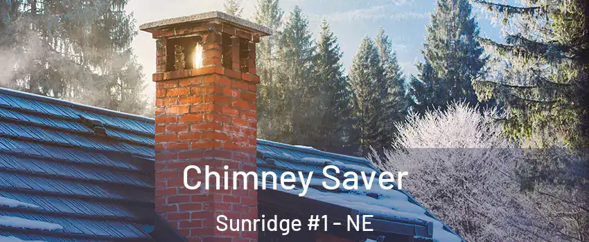 Chimney Saver Sunridge #1 - NE
