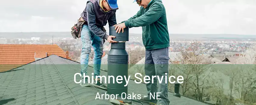 Chimney Service Arbor Oaks - NE