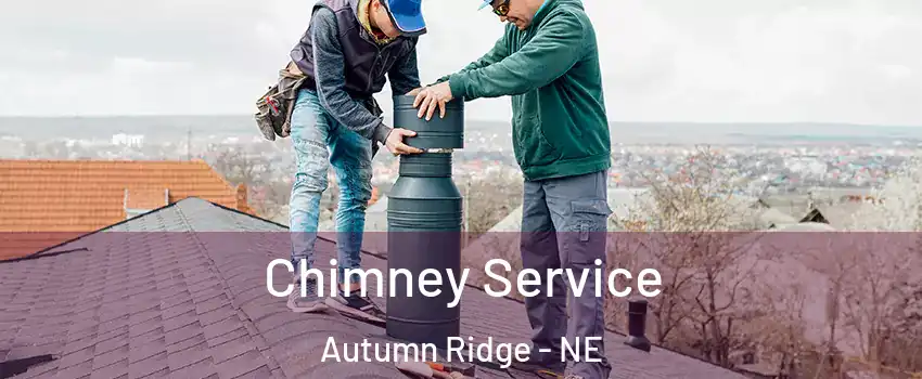 Chimney Service Autumn Ridge - NE