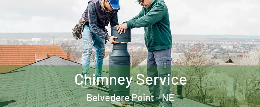 Chimney Service Belvedere Point - NE